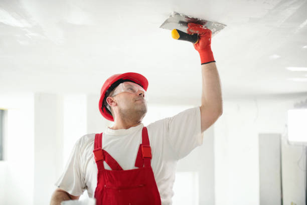 Best Mold Damage Restoration  in Perry, GA