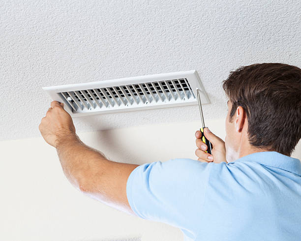 Best Mold-Related Health Consultation  in Perry, GA